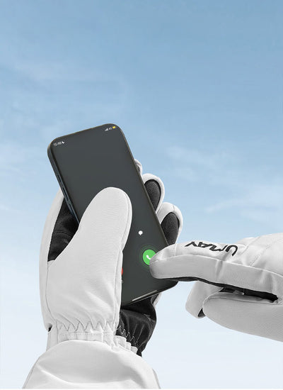 スキーグローブ アセクシャル  WATERPROOF