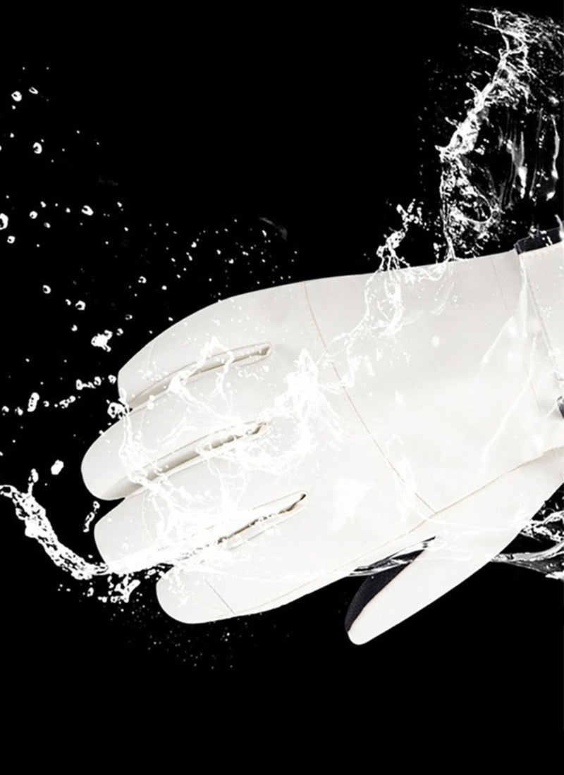 スキーグローブ アセクシャル DURABLE