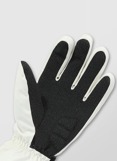 スキーグローブ アセクシャル DURABLE