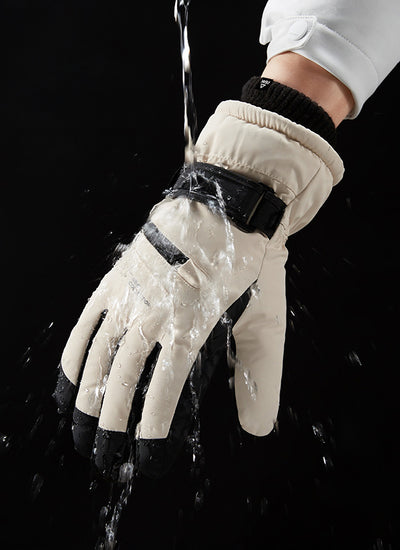 スキー グローブ アメニティ PROFESSIONAL