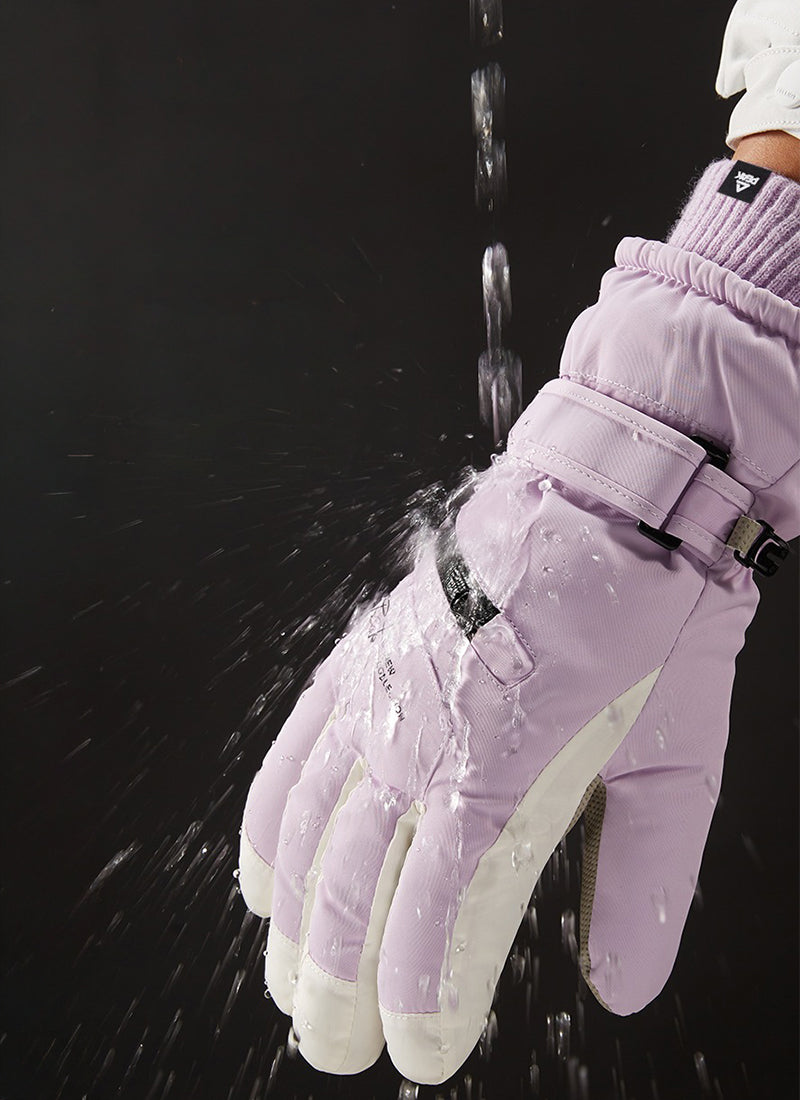 スキー グローブ アメニティ PROFESSIONAL