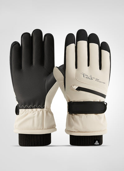 スキー グローブ アメニティ PROFESSIONAL