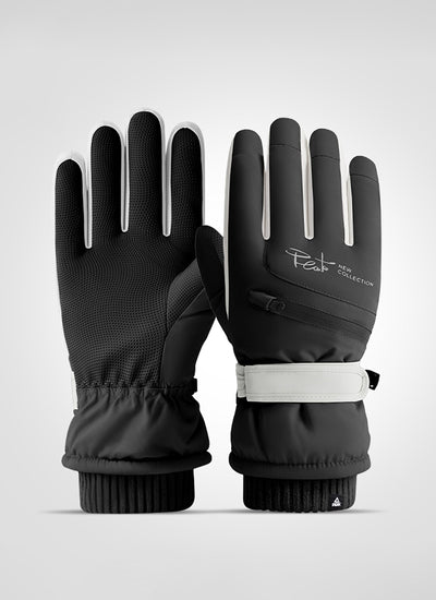 スキー グローブ アメニティ PROFESSIONAL