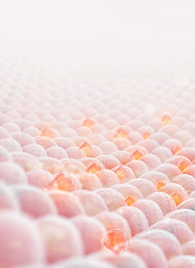 スキーグローブ アーバン Embrace Warm